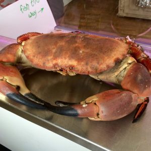 Devon Crab | Devonly Fish