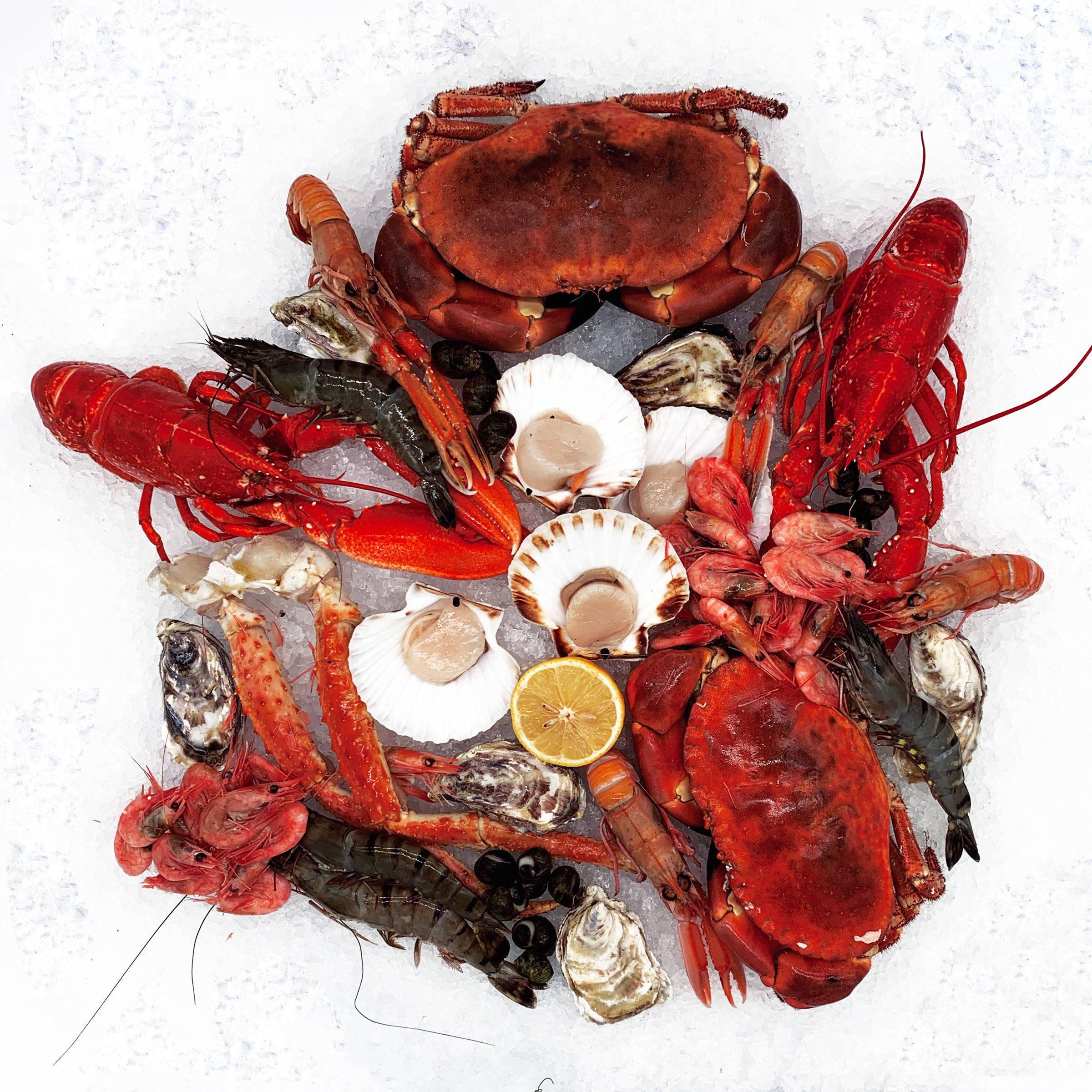 Le Royale Devonly Fish